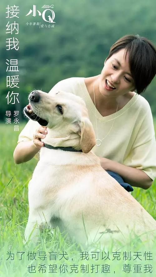 哪里能办吉斯通学院成绩单